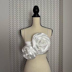 ZARA | FLORAL APPLIQUE CROP TOP | NWOT | Blogger's Favorite | Rosette Top